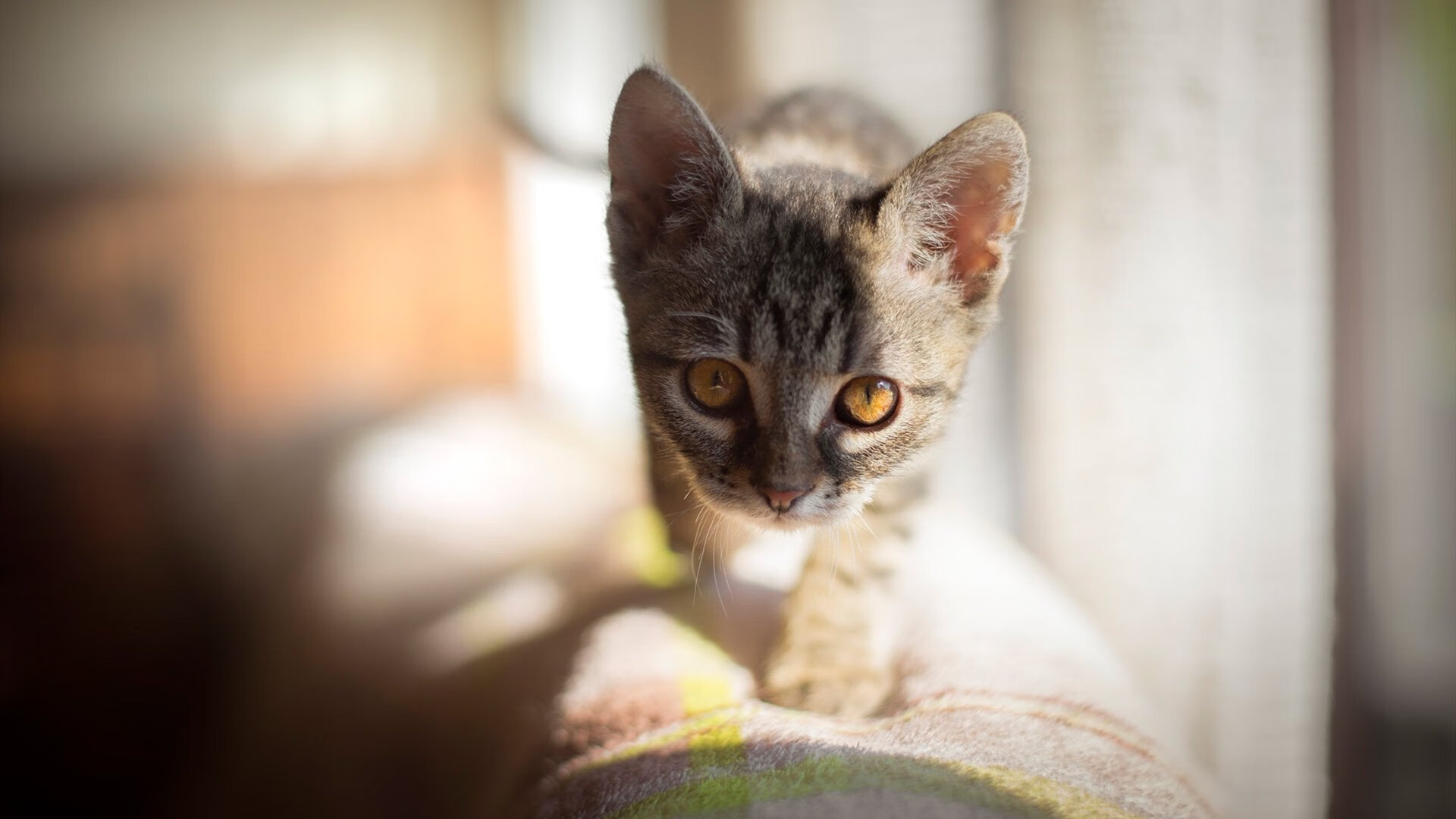 Leyu Sport下载-_传统武术创新展：文化与运动的完美融合_，中国传统文化与武术文化之间的关系