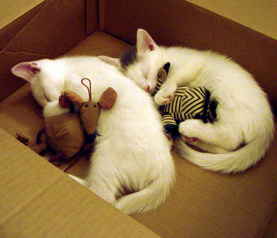 _勇士连续三场三分大爆发，胜利在望_，勇士三分集锦