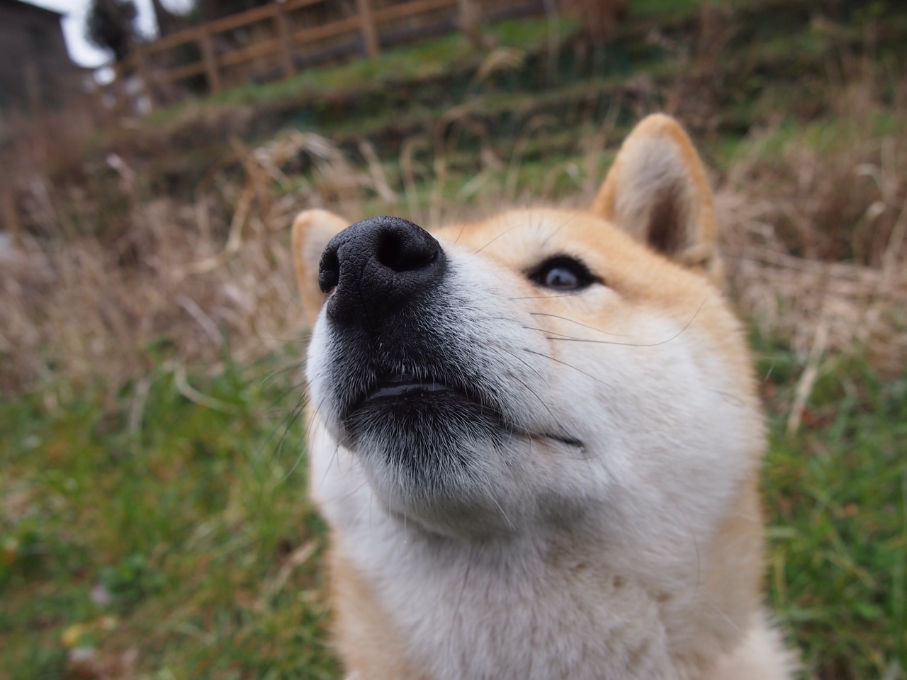 _历史回顾：网坛经典比赛盘点_，网坛冠军是什么意思