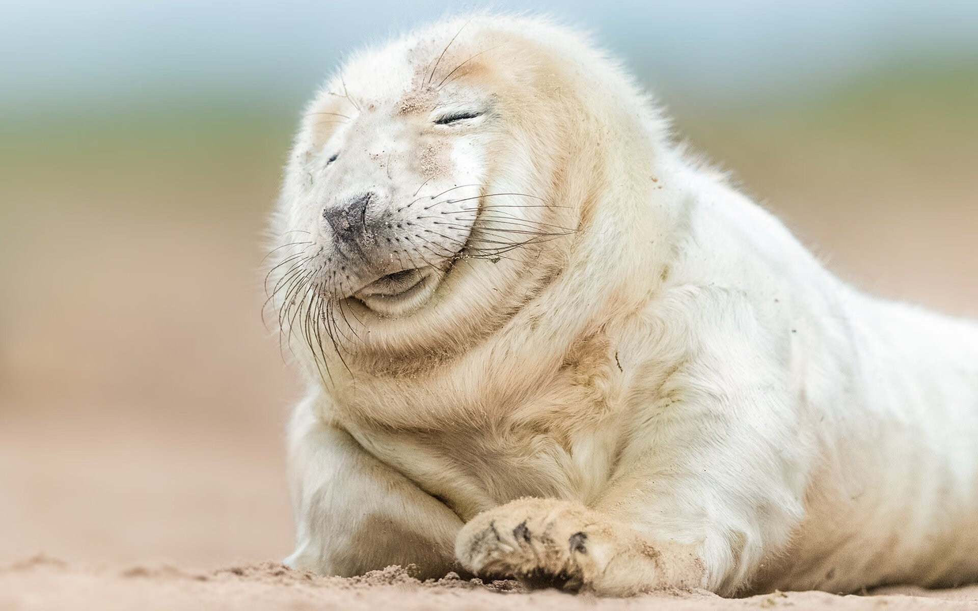 乐鱼vip-_水上飞行风暴：速度与美感双赢_，水上飞行器已成为风靡全球的运动