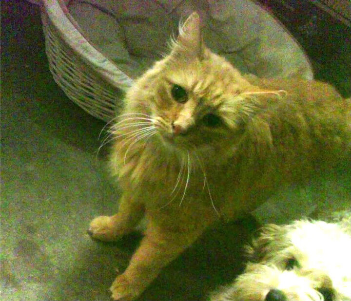 Leyu Sport登录入口-_热火防守固若金汤，赢得胜利_，热火战术