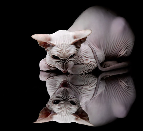 乐鱼（中国）体育官方网站-足球场馆专项整治行动确保安全可持续发展，足球场管理工作