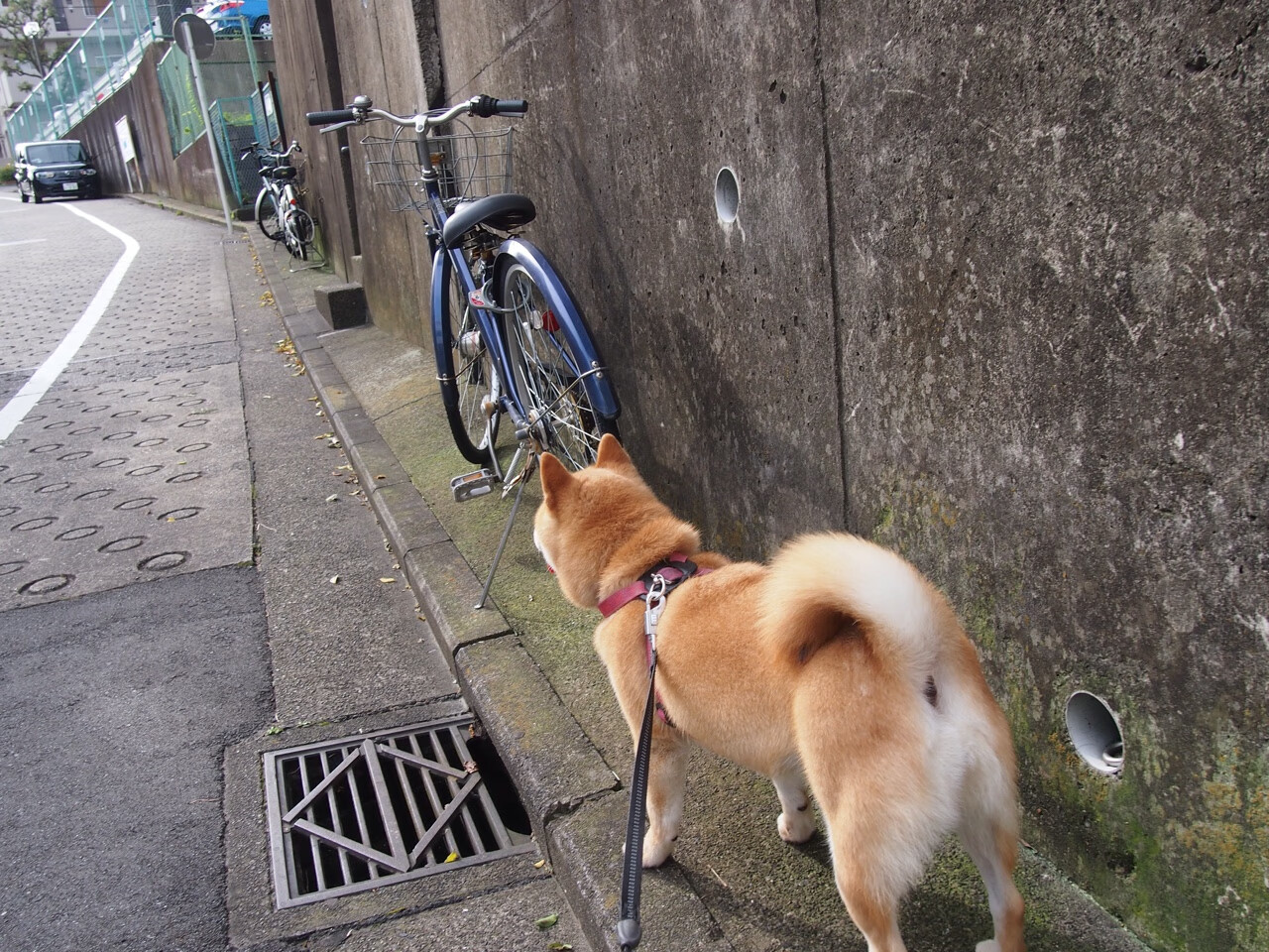 逆境中的“英雄队长”：带伤坚持，逆风翻盘，英雄队队员