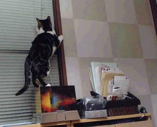 Leyu Sport登录入口-RNG数据统计领先联盟，lpl技术统计