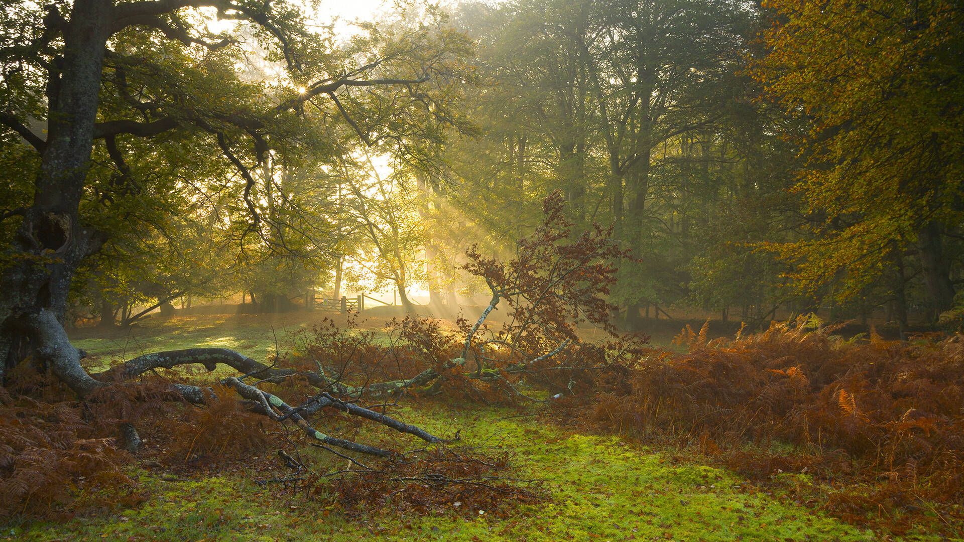 下载乐鱼体育APP-中国足球的青少年培训基地建设，全国青少年足球培训基地