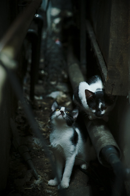 Leyu Sport下载-圣埃蒂安中场组织失误频出，需加强训练，圣埃蒂安主帅