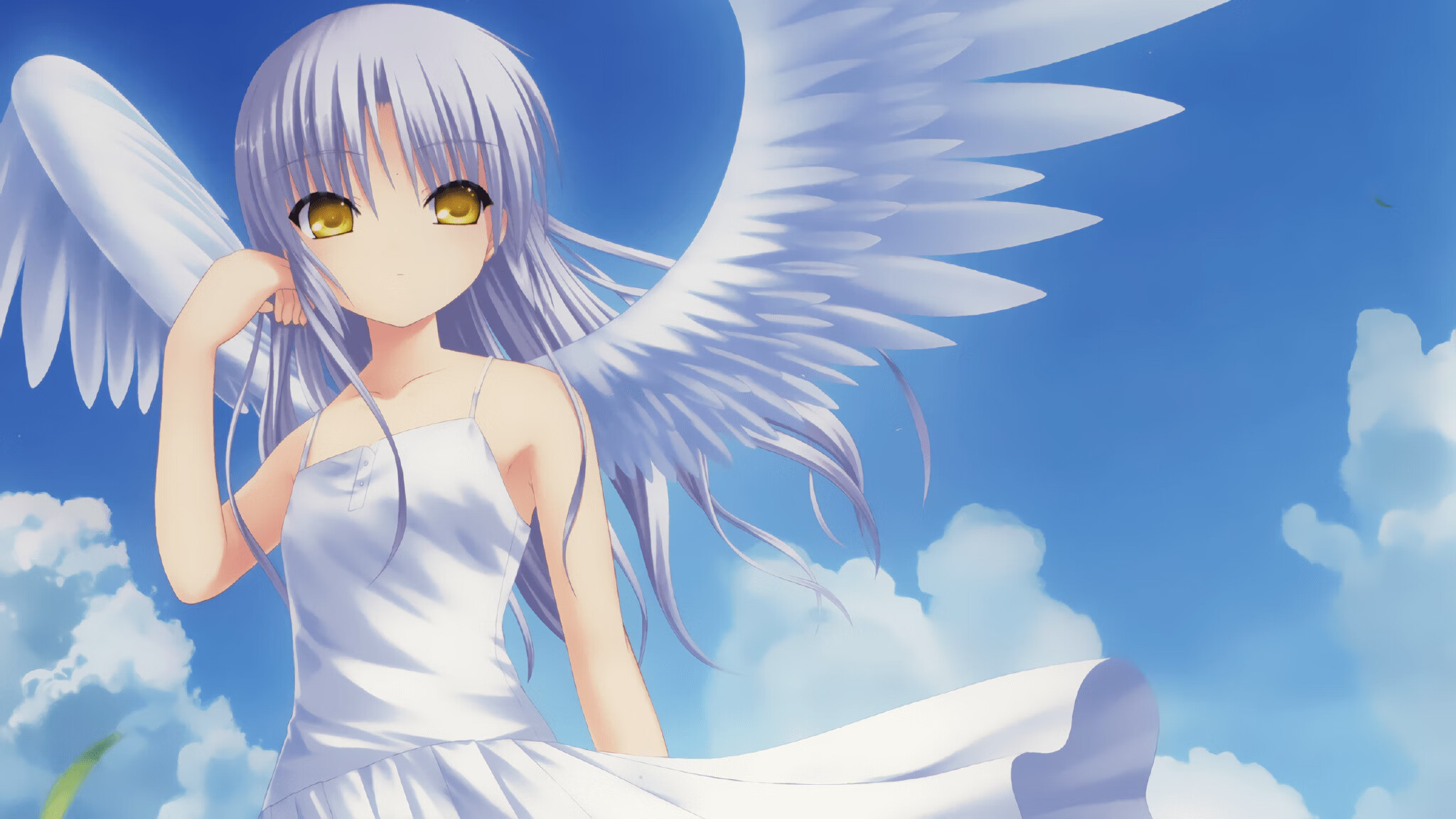 宁夏紫金队员精神百倍，士气高涨，宁夏紫金花商务中心