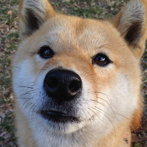 皇家马德里新援表现不佳，或将被迫坐板凳，皇家马德里队