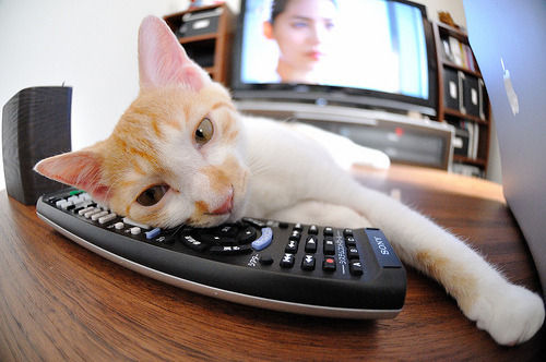 乐鱼电竞在线平台-雷恩中场传球失误频繁，战阵需重整，雷恩ds