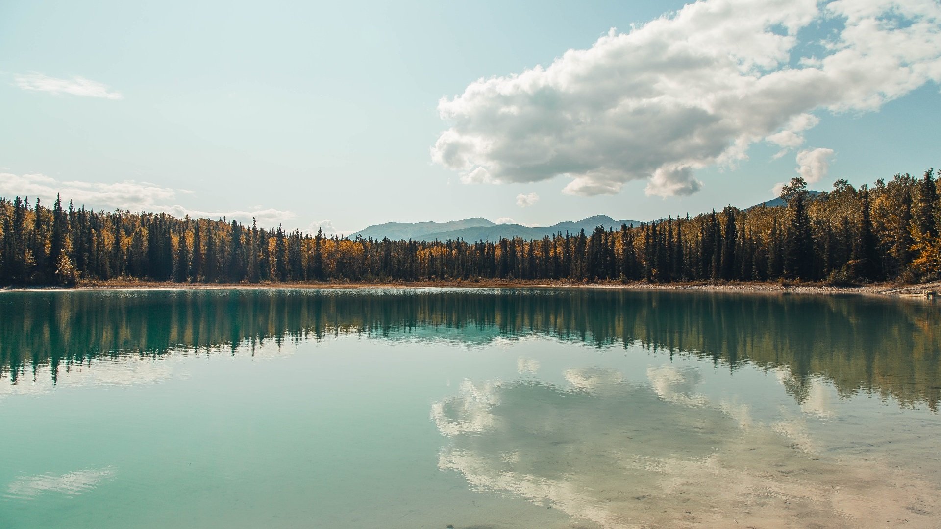 韩选手星际争霸比赛数据分析发布,星际争霸中韩对抗赛