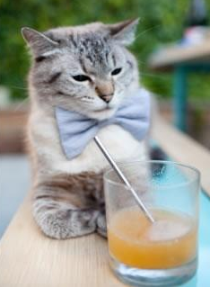 乐鱼体育App下载-国足热身赛攻防表现研究，国足热身赛阵容