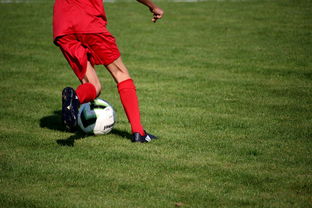 乐鱼体育(中国)官方网站-意甲裁判语义辅助判罚系统提升比赛公平性研究，意甲裁判球衣赞助商