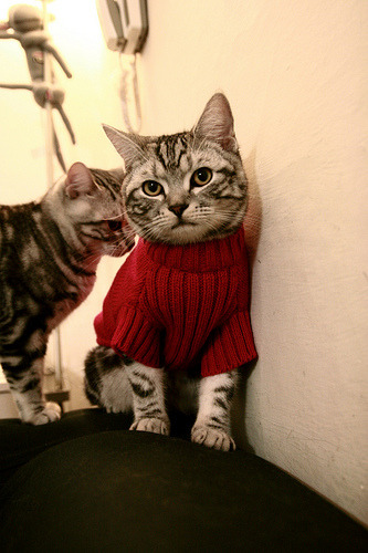 运动装备生产技术创新,运动器材创新设计