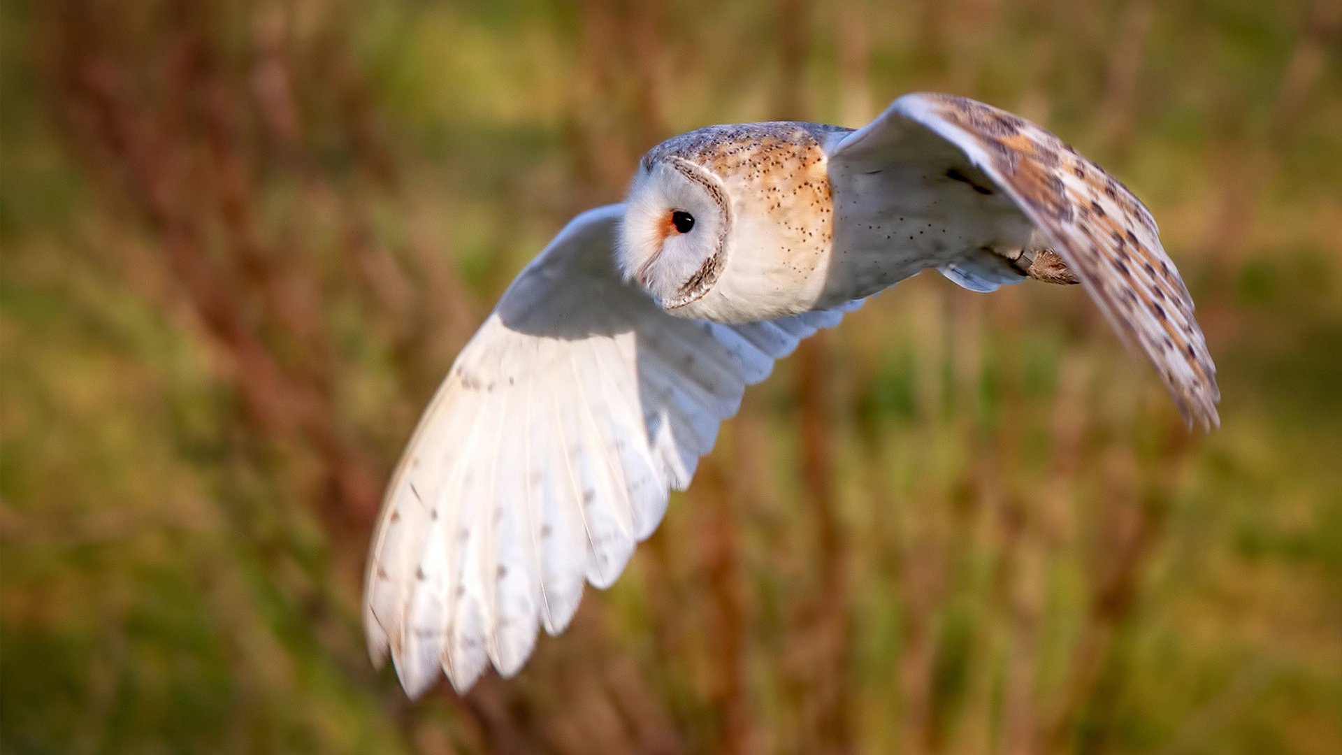 运动装备生产技术创新,运动器材创新设计
