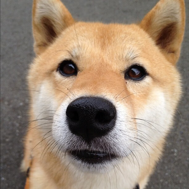 APP下载 LY Sports-“缆绳滑水：东桃花岛赛场新风尚，水面竞速超越极限”