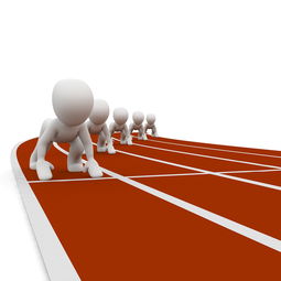 乐鱼官网-全运会筹备工作进入冲刺阶段，全运会备战方案