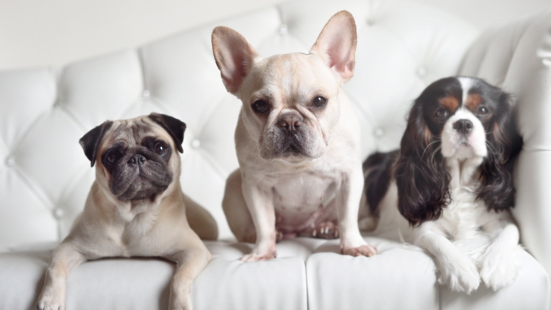 世界杯倒计时：2026年赛事场馆建设全面推进中，2022年世界杯场馆