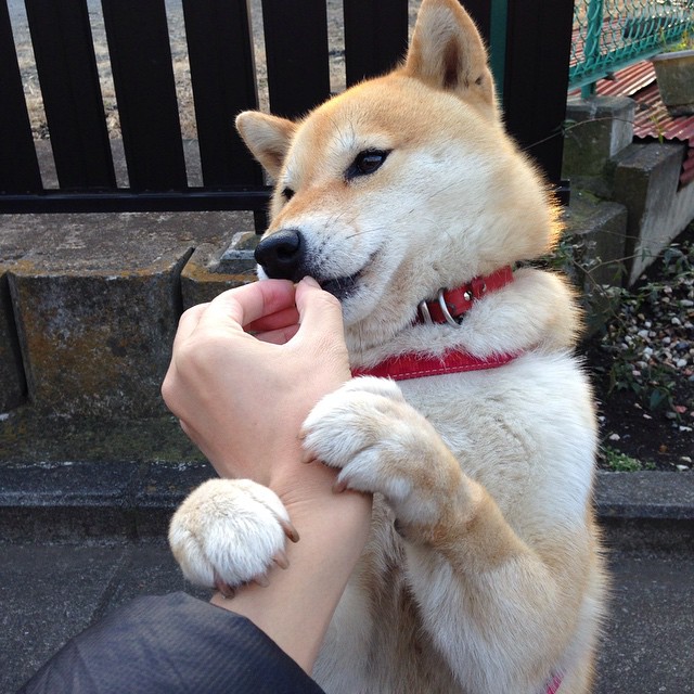 乐鱼电竞在线平台登录入口-吉尔吉斯斯坦仰泳选手状态回暖，k歌删了对方能看到吗