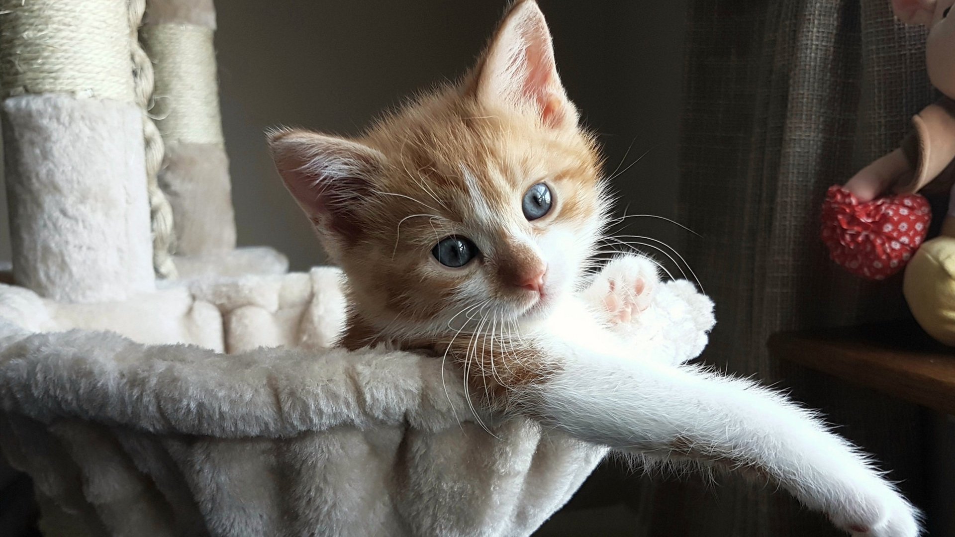 王楚钦分享比赛中快速判断球路方法，王楚钦发球教学